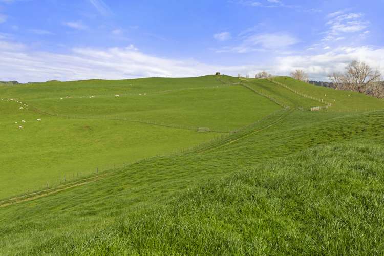 Mangatea Road Te Kuiti_1