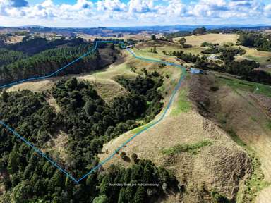 352 Kauri Road_2