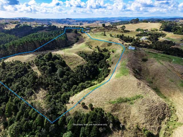 352 Kauri Road Onewhero_2