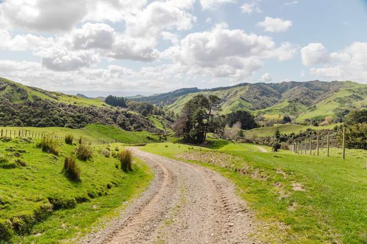 514 Totara Road Kumeroa_16