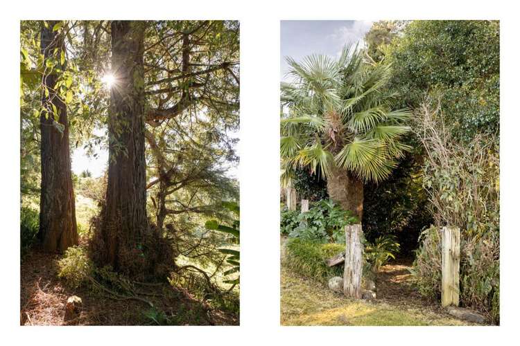 63a Mountier Road Whakamarama_18