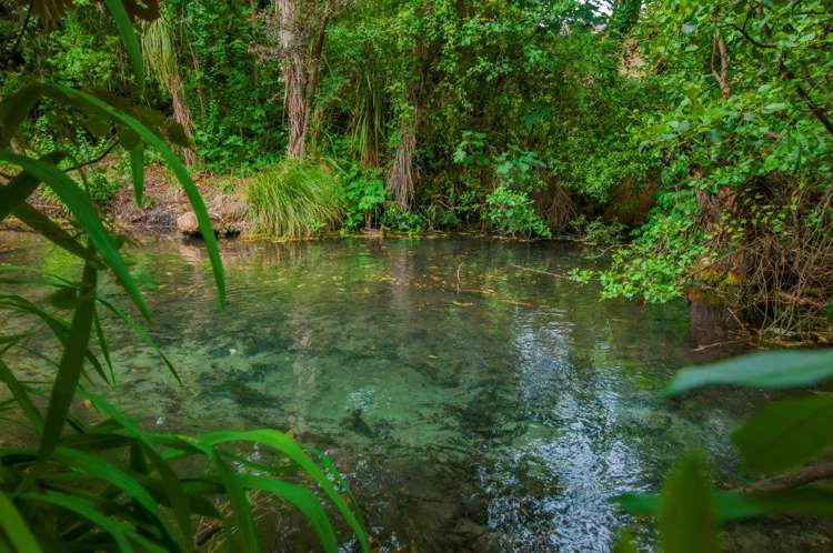 74 Moffat Drive Lincoln_16