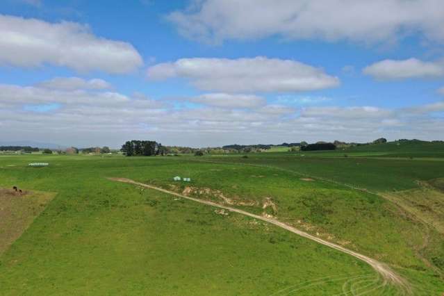 988 Spur Road Ashhurst_1