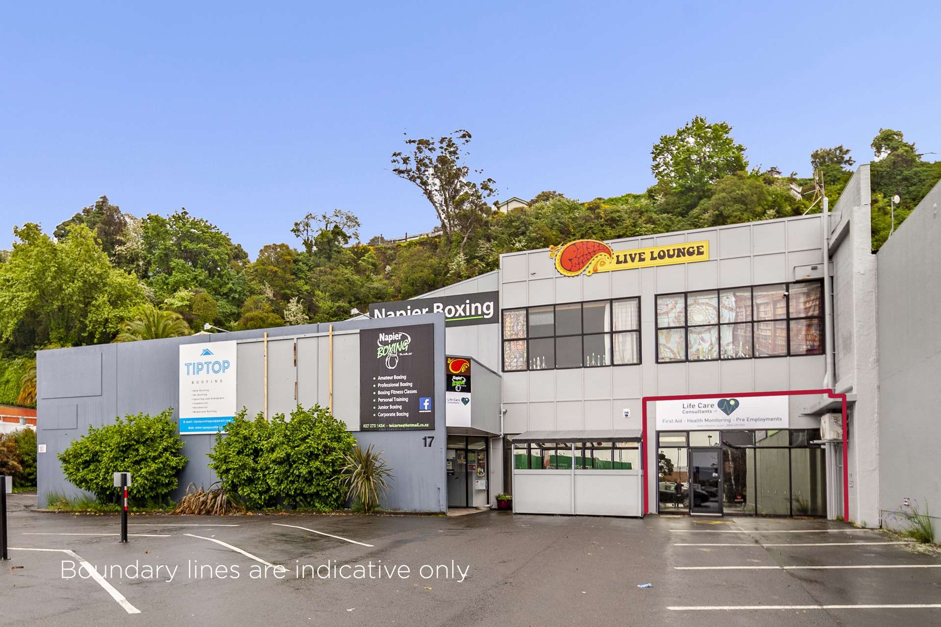 17 Carlyle Street South Napier South_0