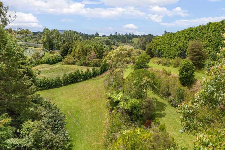 140A Wharawhara Road Katikati_23