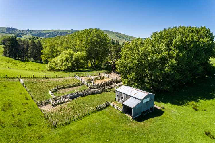 2412 Kahuranaki Road Elsthorpe_14