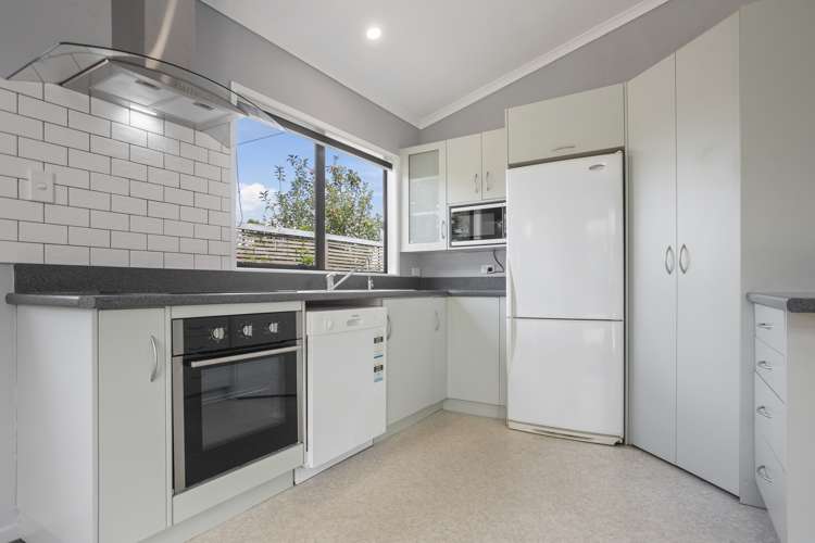 5a Mueller Street Waihi_7