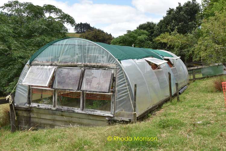 318 Franklin Road Paparoa_9