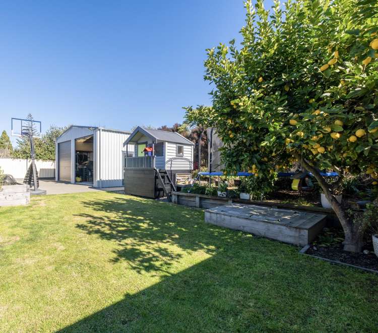 17 Napier Street Jervoistown_19