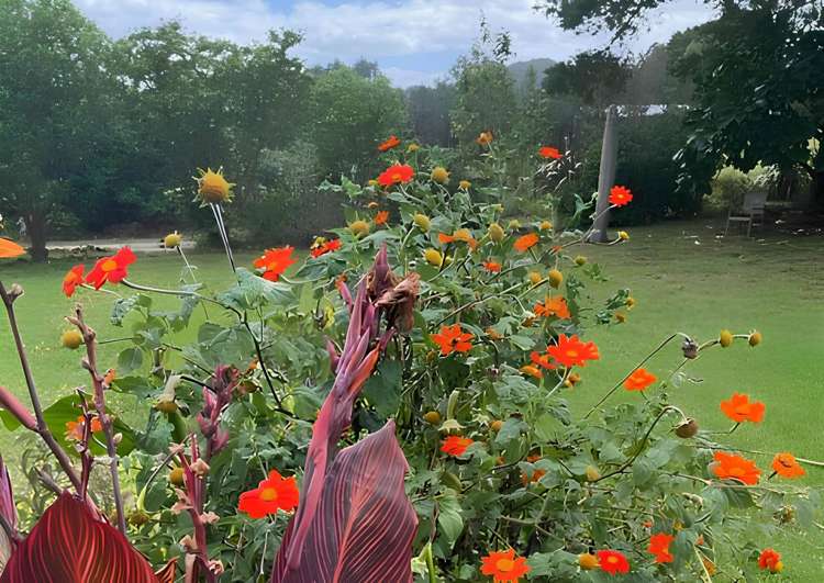 454 Ngunguru Road Glenbervie_7