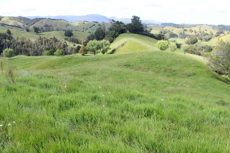 1529 Duncan Road Kaitaia_17