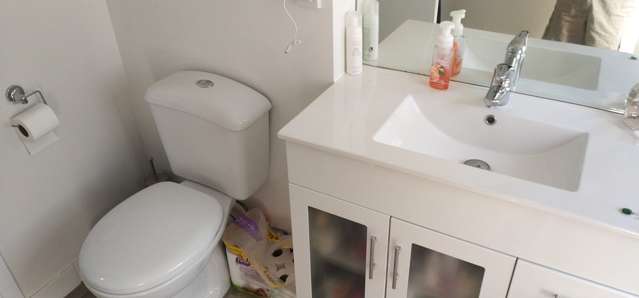 9a/125a Hobson Street Auckland Central_4