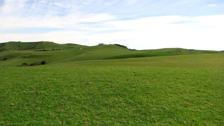 369 Burma Road Tapora_4