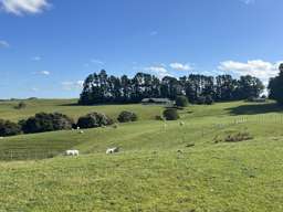 Top-tier farm offering in Hawke’s Bay