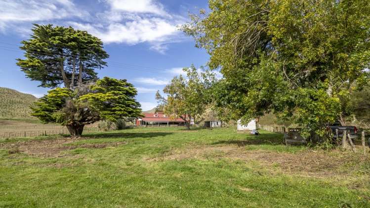 16451 Route 52 Masterton_10