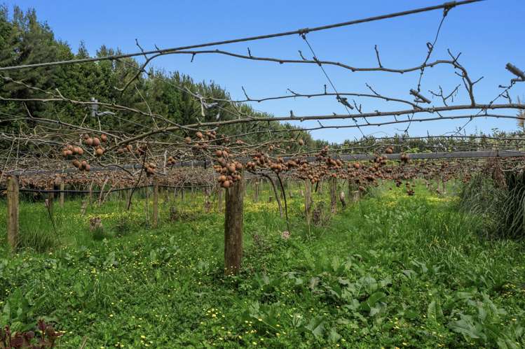 37 Selwyn Road Poroporo_8