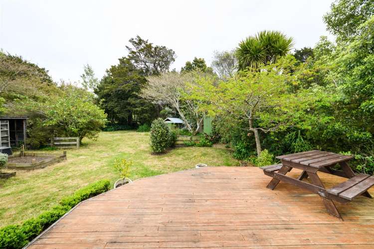 93 Trickers Road Bulls_14