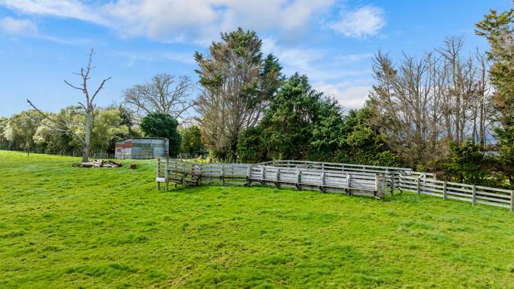 396 Bell Road Mangatawhiri_36