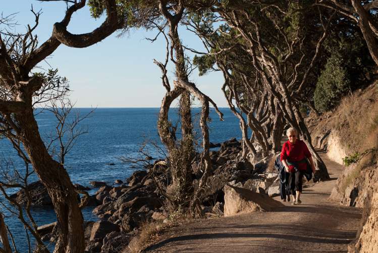 201/16 Adams Avenue Mount Maunganui_17