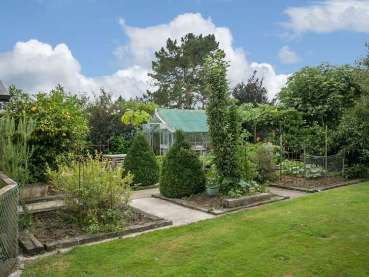 52 Taawharuwharu Lane Cambridge_24