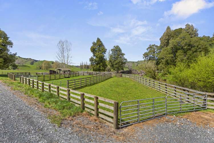 1741 Tikitiki Road Te Kuiti_5
