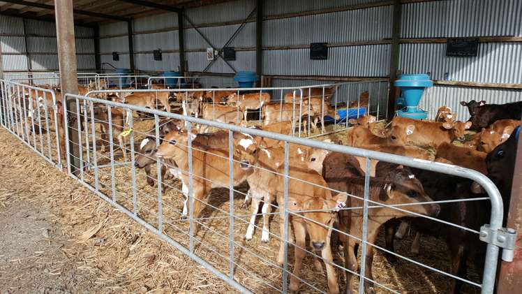 2510 Methven Highway Methven_9