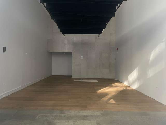 T2/18C Shortland Street Auckland Cbd_1