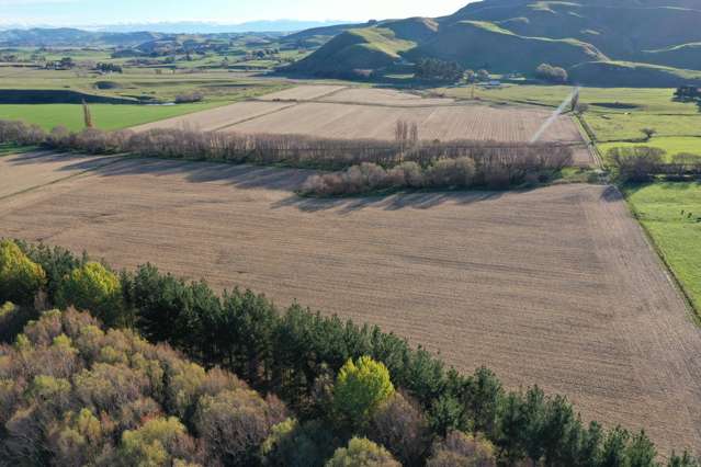 Recreational land adjoining the Tukituki River