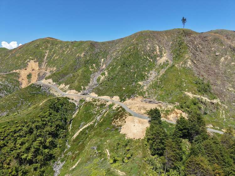 Lot 2 Brown Road Kawhia_7