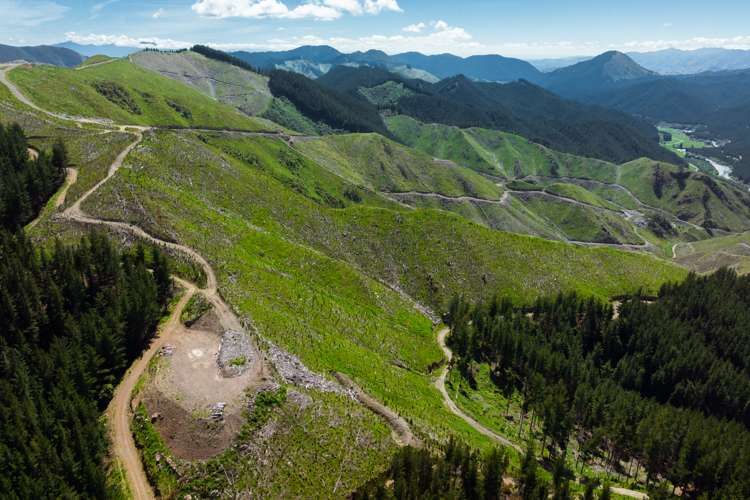 Waihopai Valley Road Waihopai Valley_6