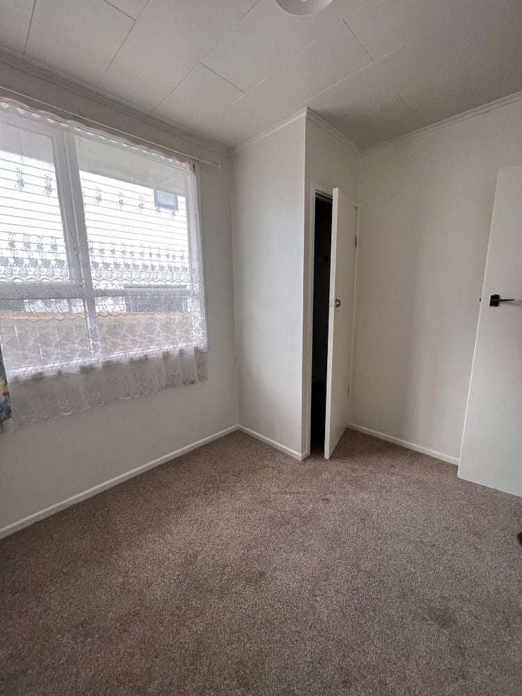 15 Beagle Avenue Mount Albert_5