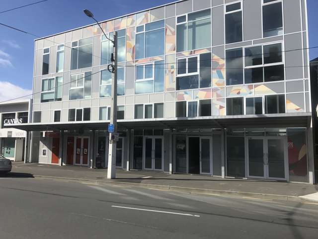 D/309 Willis Street Te Aro_1