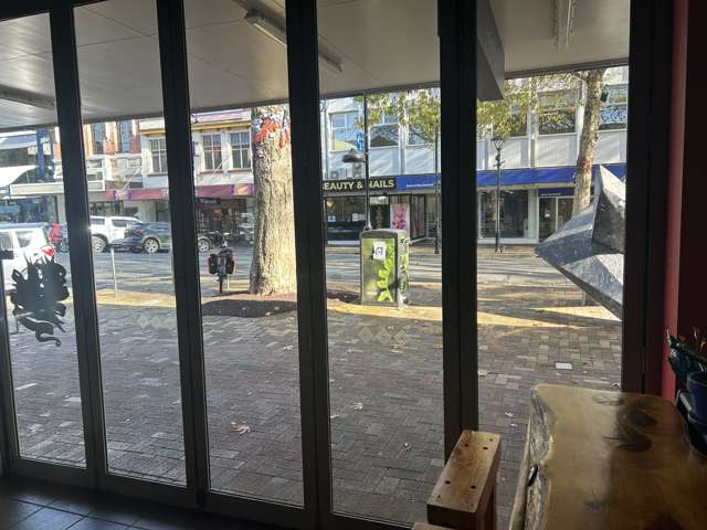 219 Trafalgar Street Nelson_4