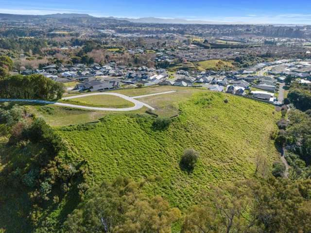 101 Quail Ridge Ohauiti_3
