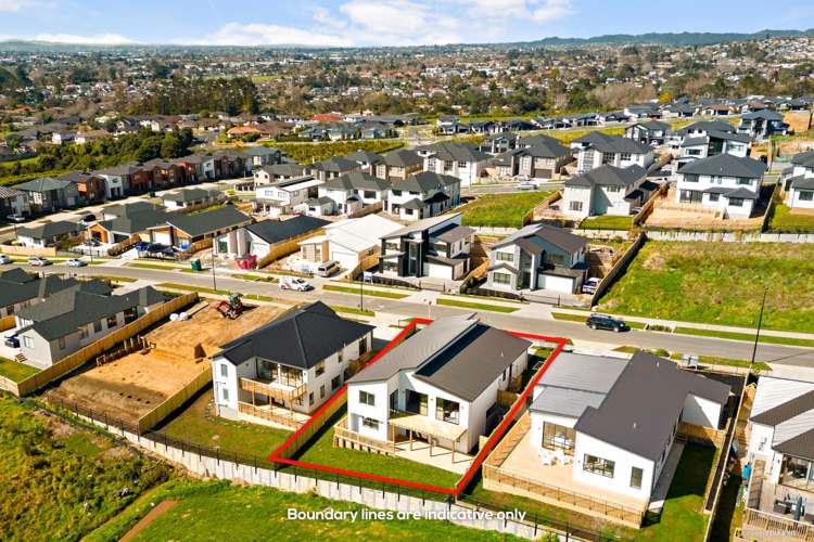 10 Kauri Gum Rise Swanson_15