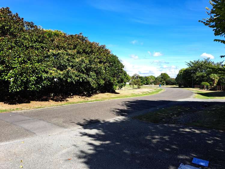 9a Lakewood Grove Levin_12