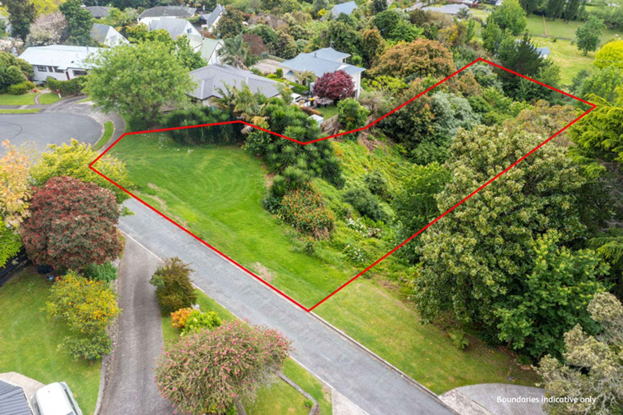 Poley moley! Could this be Tauranga’s most affordable property?