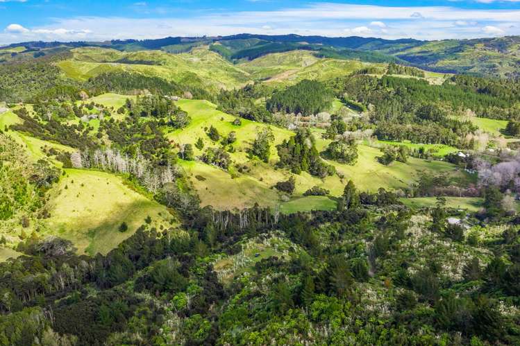 Lot 3 Radiata Road Warkworth_18