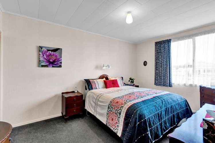 9 Struan Avenue Lower Vogeltown_10