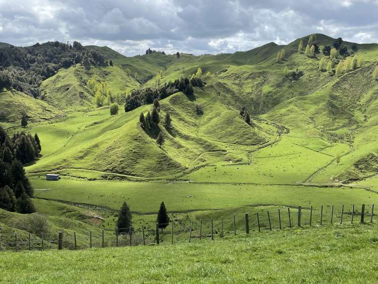 592 Waitewhena Road Ohura_11