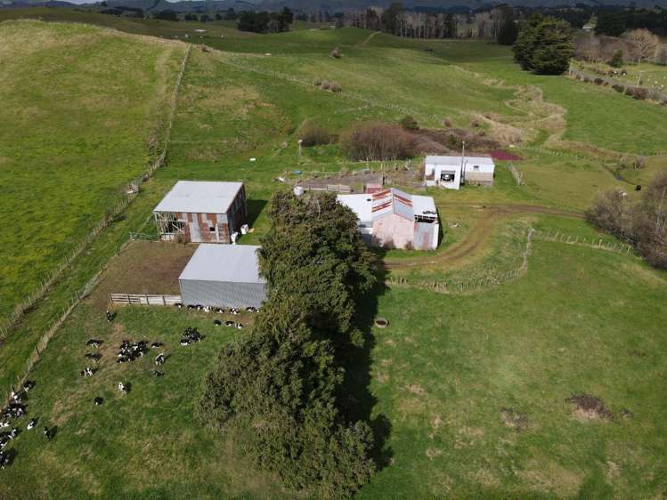 203 Garfield Road Norsewood_14