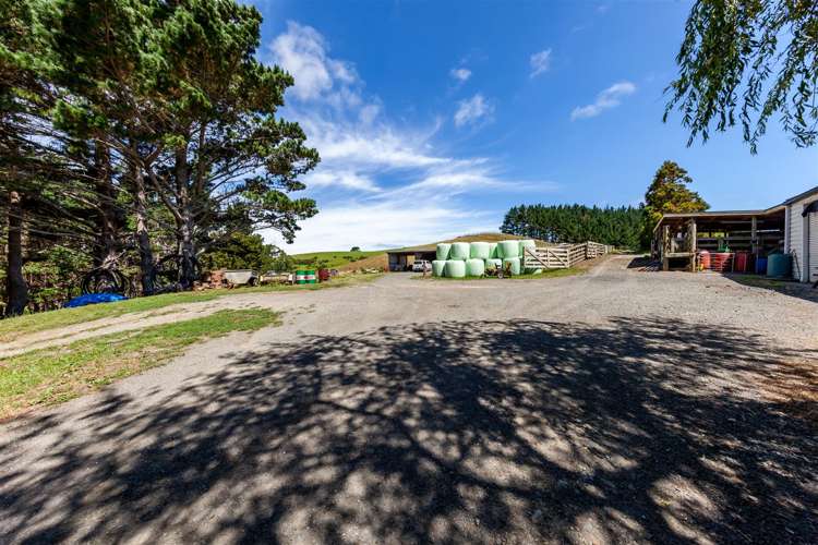 1335 Kahikatea Flat Road Kaukapakapa_24