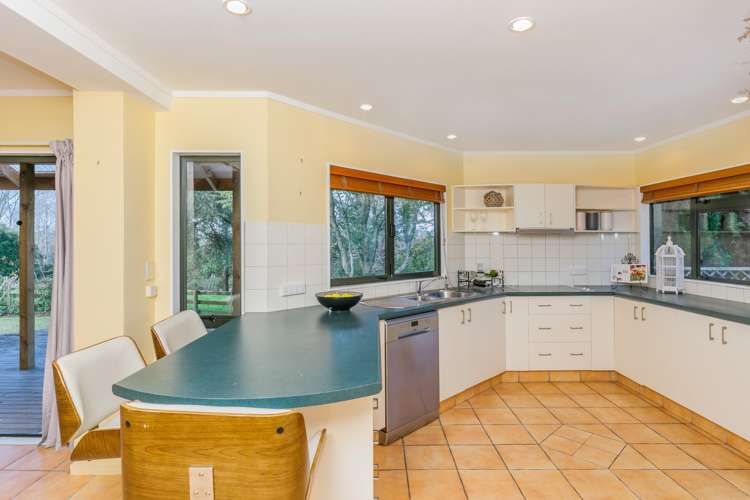 99 Postman Road Dairy Flat_22