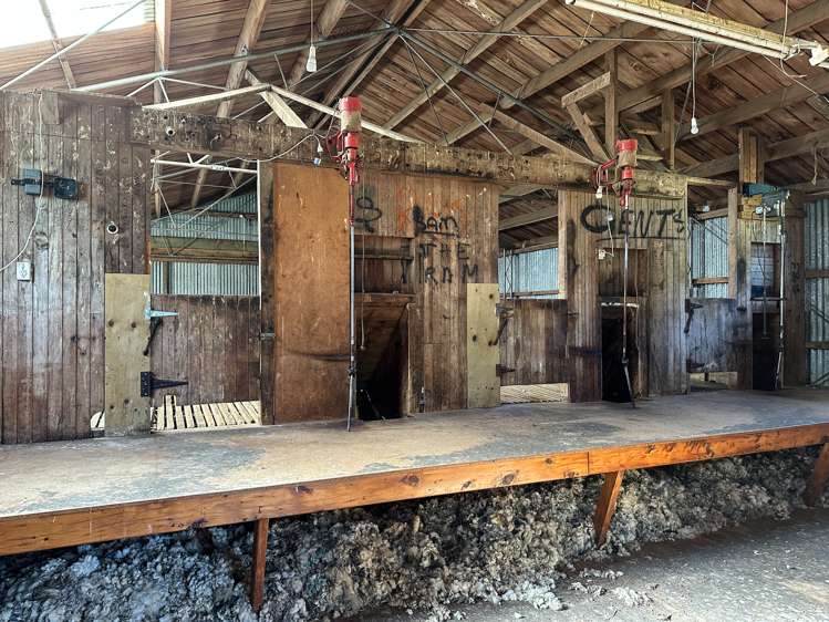 30 Frazer Road Gore Surrounds_9