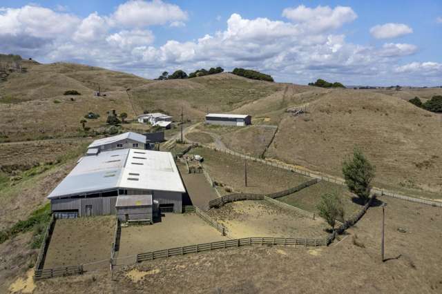 1002 Te Akau Road Te Akau_4