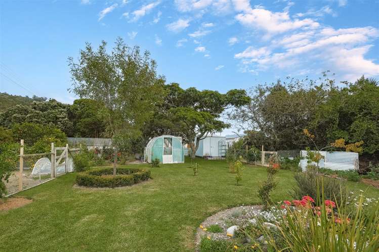 10 Greenfield Street Hector_20