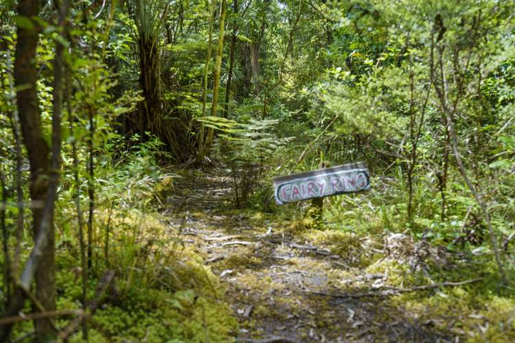 152 Wright Road Dairy Flat_20