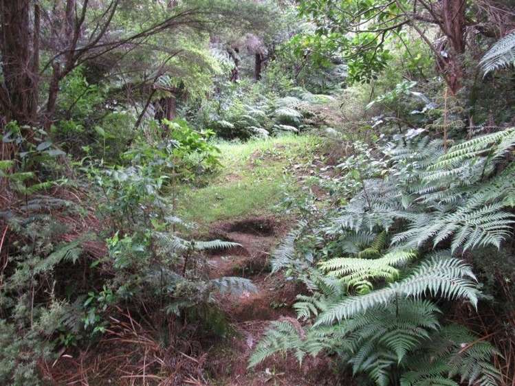 24 Goldfields Road Karangahake_10