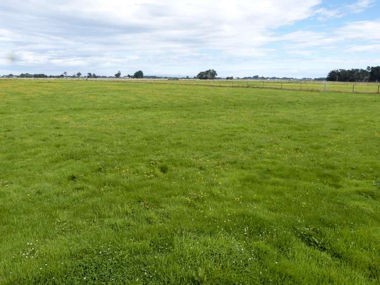 2 Wilson Road South Motu Rimu_0