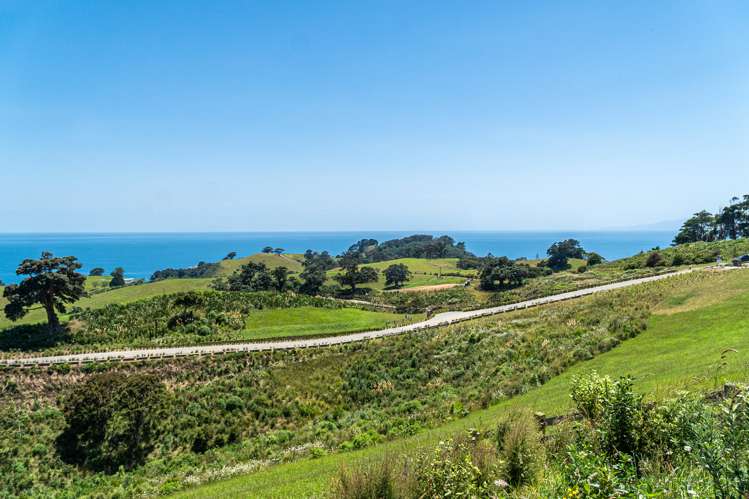 7 Tukere Lane Waiheke Island_5